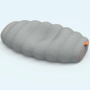Caterpillar