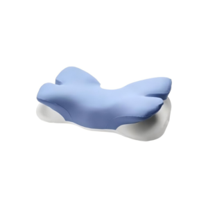Butterfly Wing Pillow