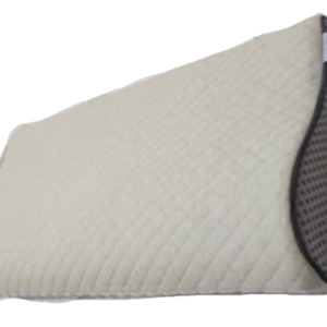 Dual-Purpose Student Pilllow