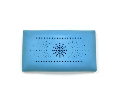 Memory Foam Spring Pillow